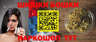 apvp Славгород