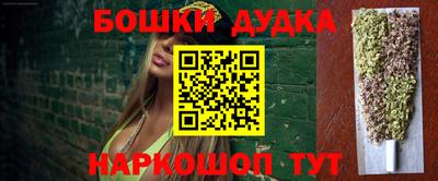 стаф Сланцы