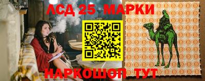 apvp Славгород