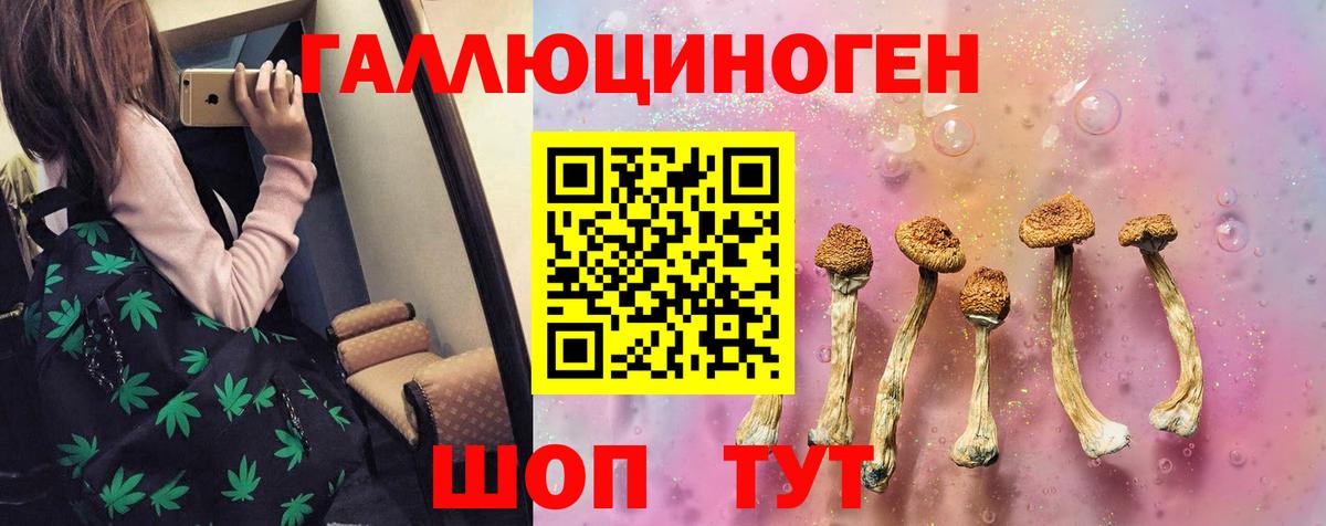 Псилоцибиновые грибы GOLDEN TEACHER Новороссийск
