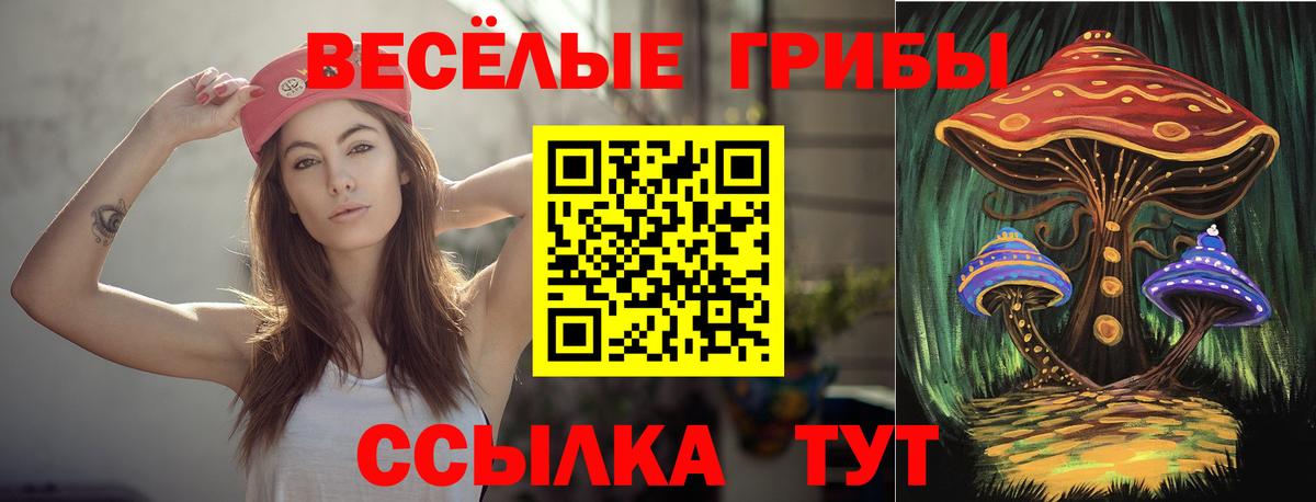 Новороссийск  Псилоцибиновые грибы GOLDEN TEACHER  Вход с VPN 
