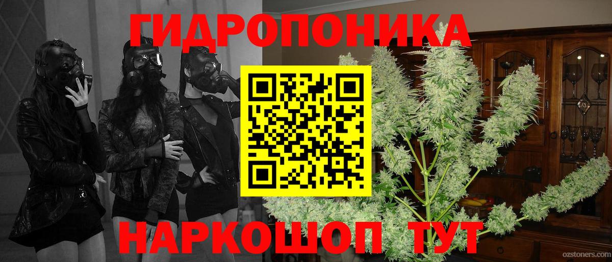 Новороссийск  Марихуана марихуана  Канабис сатива  Вход с VPN  Канабис THC 21% 
